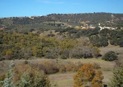 BarrancoHontanilla