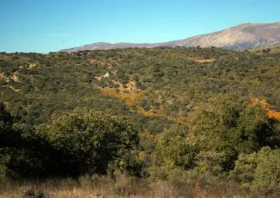 BarrancoValdelobos