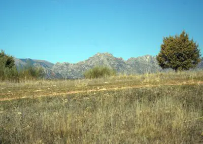 CaminoChifladero