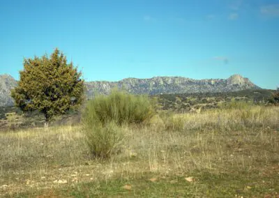 CaminoChifladero3