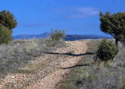 CaminoChifladero4