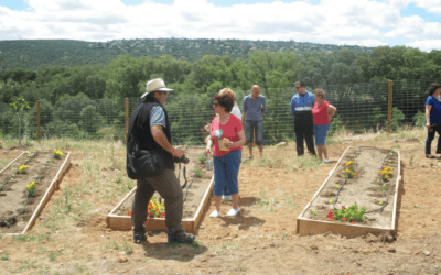 Desarrollo local 13 Dinamización Agroecológica DILAS