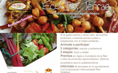 Concurso Gastronómico Ecocheff TERRAE