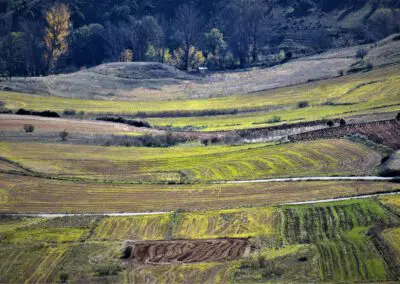 ElFresno1