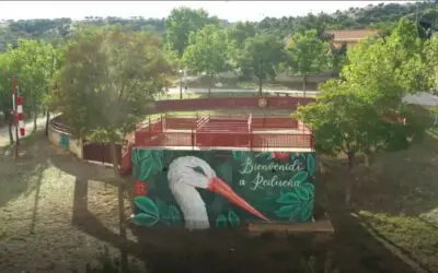 Actualidad 36 Redueña a vista de pájaro