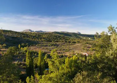 Término municipal de Redueña