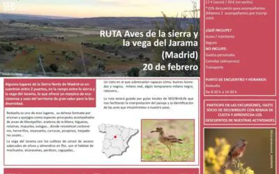 Ruta aves de la Sierra y de la Vega del Jarama