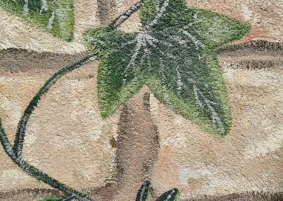 Detalle de la enredadera