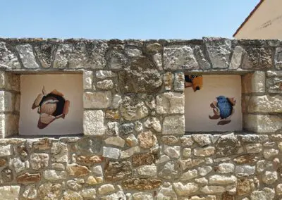 Pajaros5