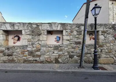 Pajaros6