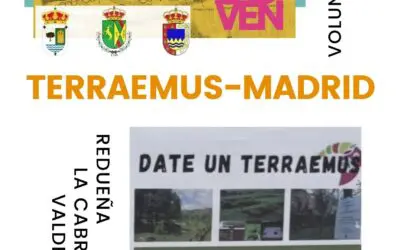 Campo de Voluntariado Juvenil TERRAEMUS-Madrid