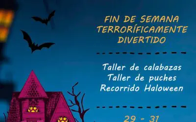 Halloween, la noche más terrorífica del año