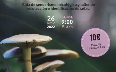 Jornada Micológica en Redueña