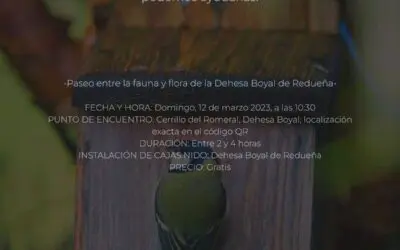 Ornitología con instalación de cajas nido