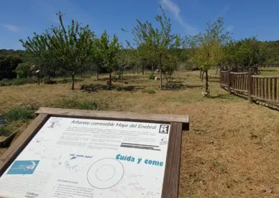 Arboreto