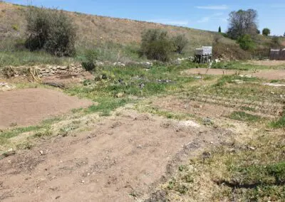 Huertos comunitarios
