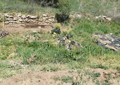 Huertos comunitarios