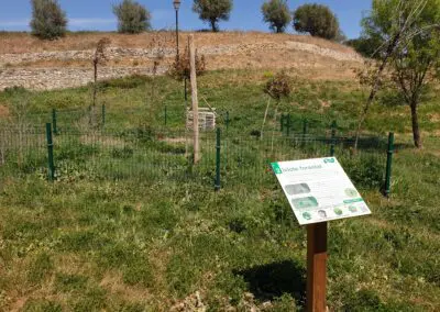 Islote forestal
