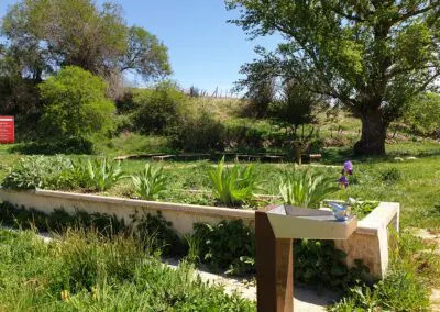 Parque Fuente de la Mora