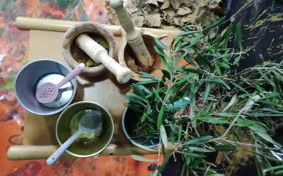 Actualidad 36 Los niños de la Casita simulan la recogida de la aceituna