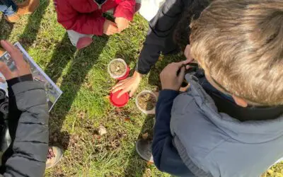 Actualidad 32 Ruta ornitológica y colocación de cajas nido en Redueña