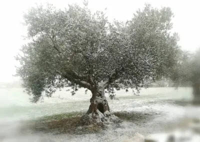 Nuestra tierra