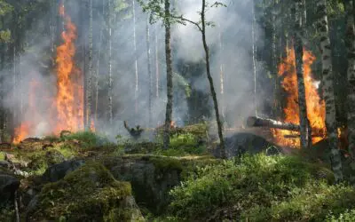 Formación contra incendios: agricultores y ganaderos