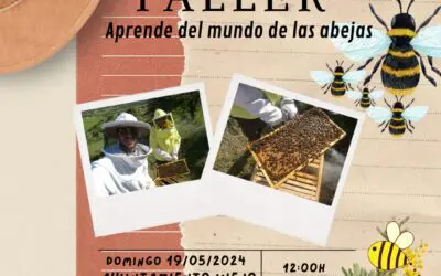 Actualidad 15 Aprende sobre las abejas en el taller de apicultura