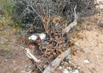 Basuraleza.