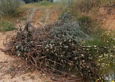 Basuraleza.