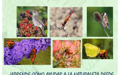 Actualidad 21 Taller de plantas auxiliares