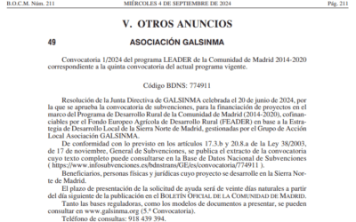 Convocatoria de ayudas Leader-Asociación GALSINMA