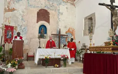 Resumen de las fiestas del Cristo de la Salud