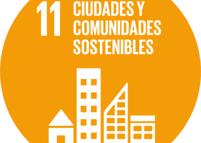 ODS 11.