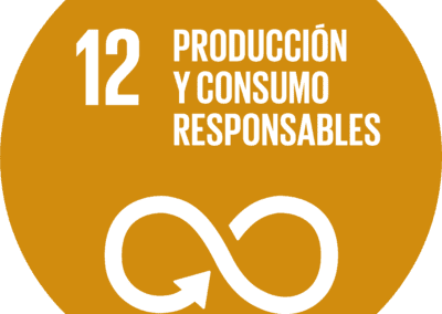 ODS 12.