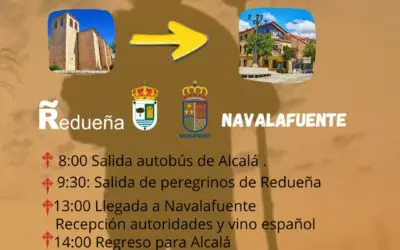 Actualidad 7 Día del Peregrino 2025