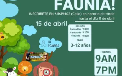 Actualidad 1 Excursión a Faunia y Humor Amarillo para niños y jóvenes