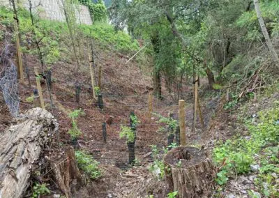 Barranco de La Fuente.