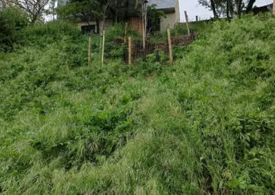 Barranco de La Fuente.