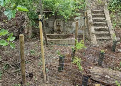 Barranco de La Fuente.