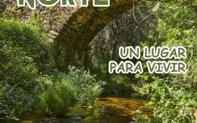 Actualidad 1 Feria de la Sierra Norte 2025 en Buitrago