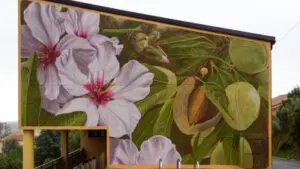 Paredes que Hablan: Un innovador museo al aire libre en la Sierra Norte 8 Reduena