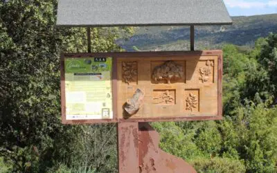 Redueña, un referente en turismo inclusivo: la Senda para Todos de la Dehesa Boyal