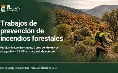 Trabajos de prevención de incendios forestales en Los Barrancos, Cotos de Monterrey y Lagunilla