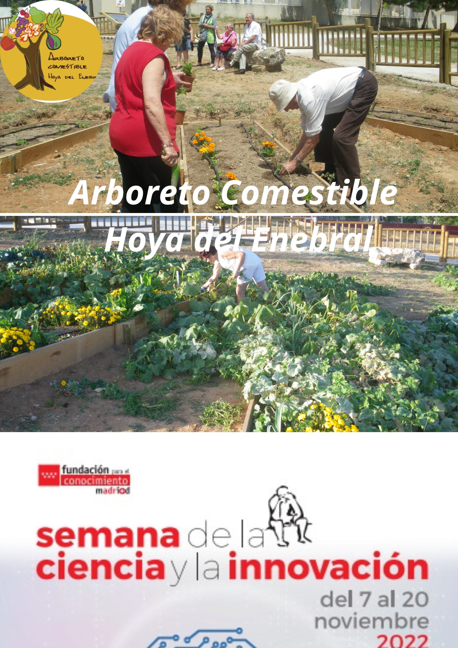 Arboreto comestible.