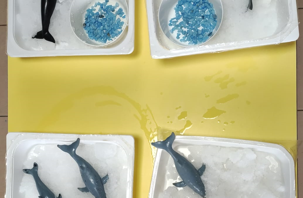 Bandejas sensoriales en el Centro Polivalente