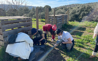 Un pueblo sin basuraleza