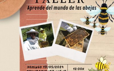 Aprende sobre las abejas en el taller de apicultura