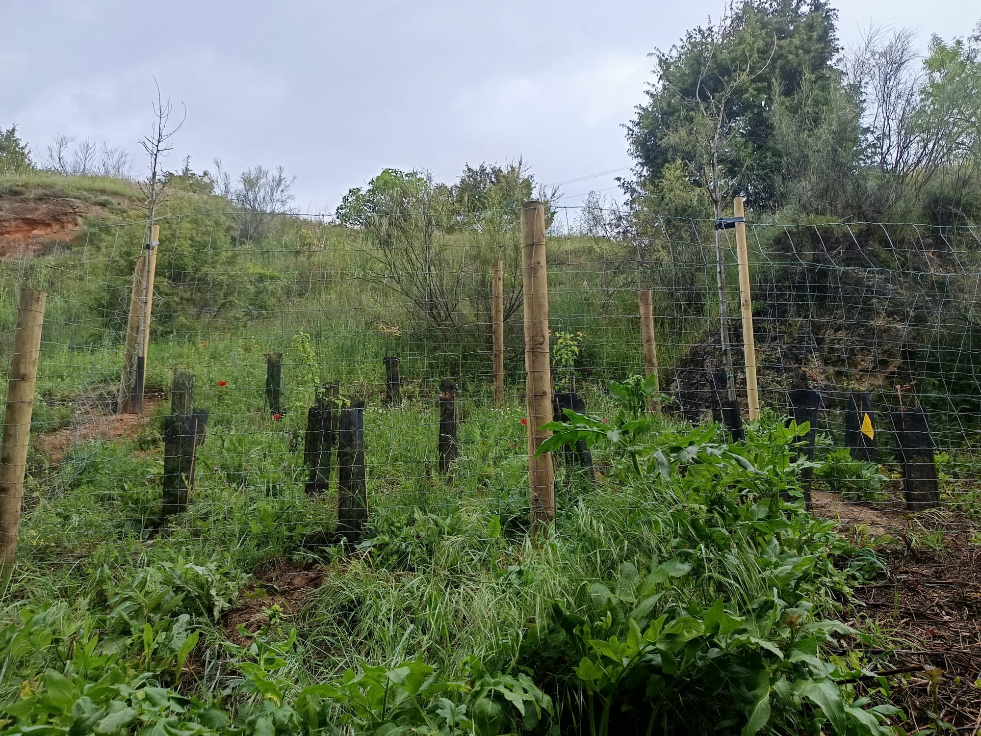 Barranco de La Fuente.