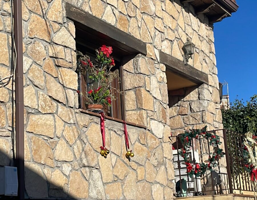 WhatsApp Image 2025 12 31 at 11.13.55 AM